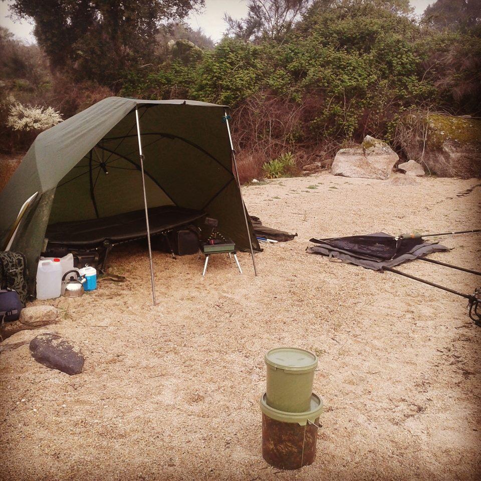 pescuitul+natura - 946538140834536106752993310866n.jpg